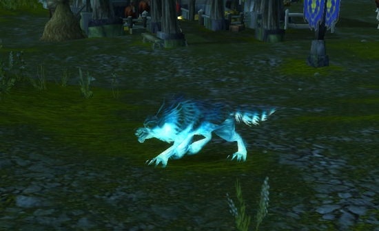 Taming Karoma, the spirit wolf from Twilight Highlands, World of Warcraft