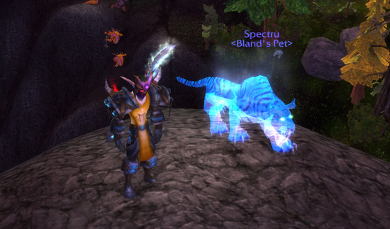 Taming Magria and Ankha, the hunter pets in World of Warcraft