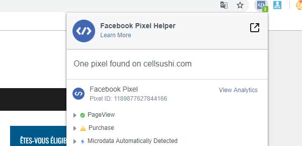 How to fix the Facebook Pixel firing twice issue